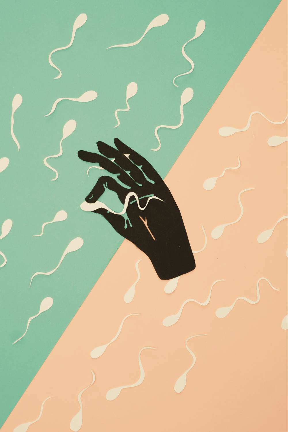 endométriose cycle menstruel mycose gynécologie contraception naturelle émotions SPM règles douleurs homme