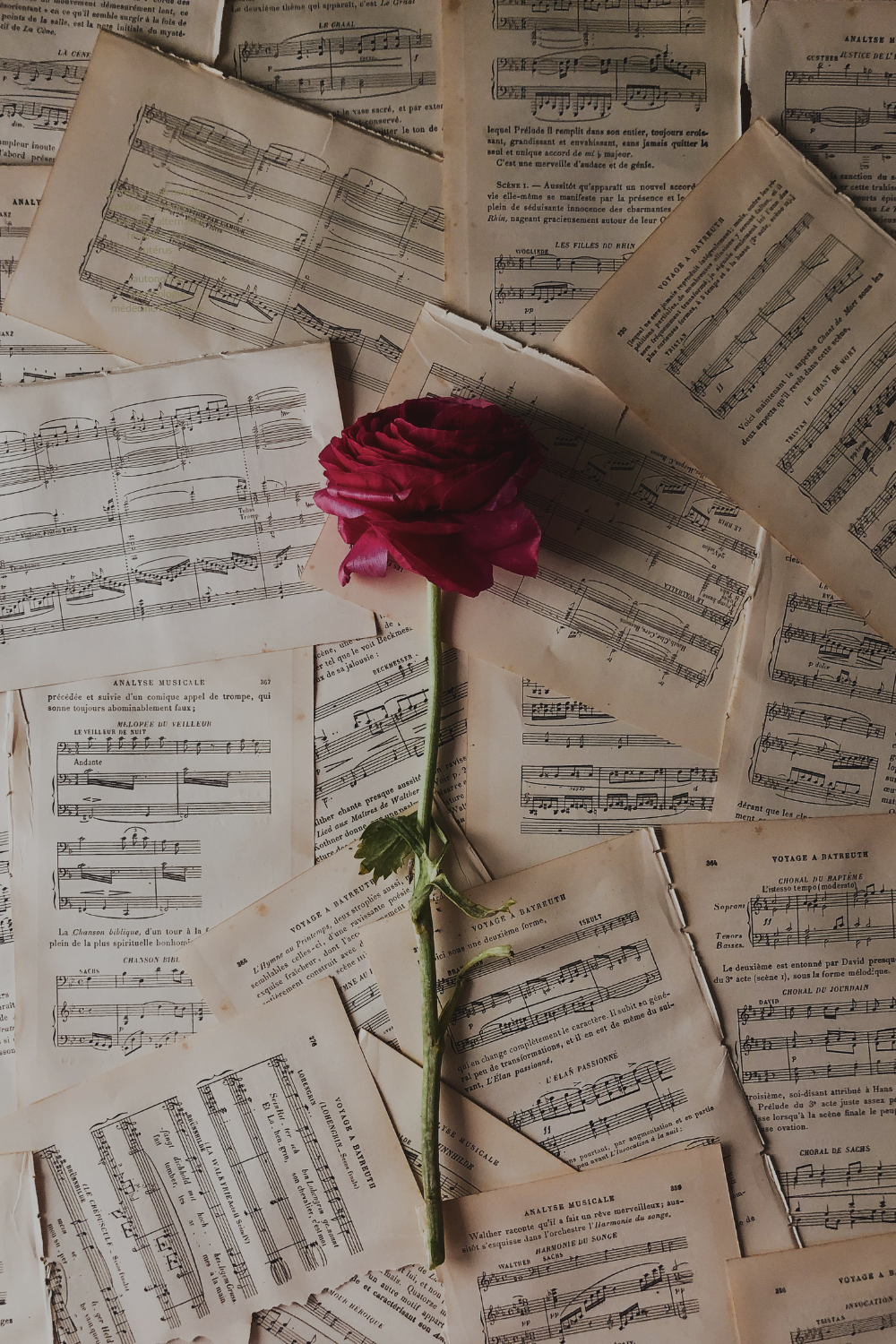 endométriose cycle menstruel mycose gynécologie contraception naturelle émotions SPM règles douleurs musique stress