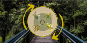 roue cycle menstruel émotions gynécologie